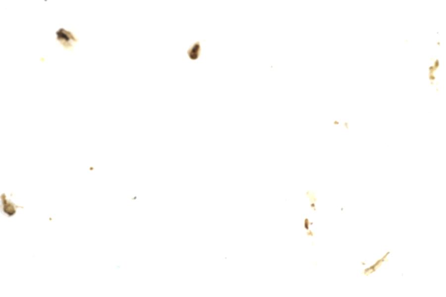 Image 72